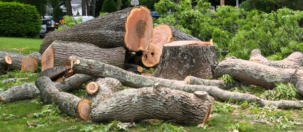 Leaf Removal in Athens, PA